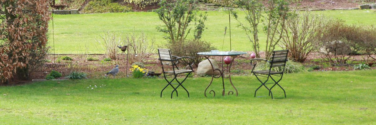 Rollrasen Garten Und Landschaftsbauer In Kempen Schraps Vogel